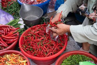PIHPS Catat Harga Cabai dan Telur Masih Tinggi di Pasar Nasional