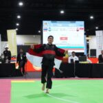 pencak silat