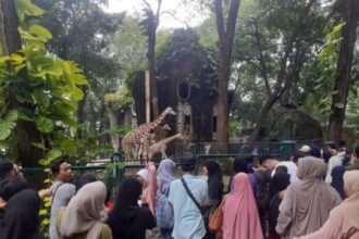 Libur Natal dan Tahun Baru, Jam Operasional Ragunan Diperpanjang