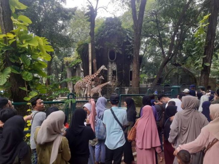 Libur Natal dan Tahun Baru, Jam Operasional Ragunan Diperpanjang