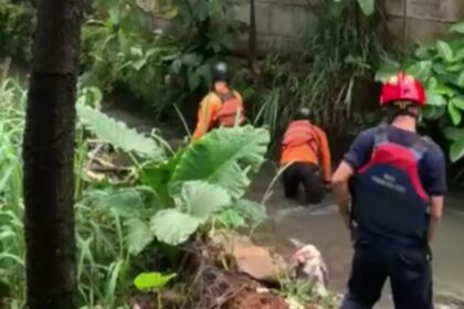 Upaya pencarian bocah tiga tahun hanyut di Kali Jantung, Cibinong. Foto: Tangkapan layar Instagram @metrobogor_