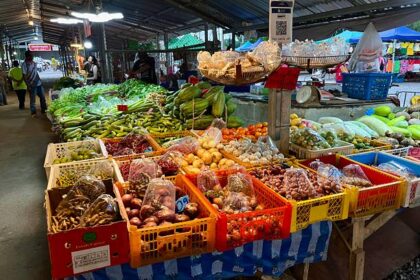 Ilustrasi, jualan cabai rawit, bawang merah. Foto: Istock @Anatoly Kireev