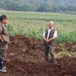 Sekretaris Utama BNPB Rustian didampingi Wakil Bupati Tanah Datar meninjau 1,8 hektare lahan kosong diperkirakan dapat dibangun sekitar 34 hingga 70 unit huntap terpadu di Kecamatan Rambatan, Kabupaten Tanah Datar, Rabu (7/1/2026). Foto: Ist