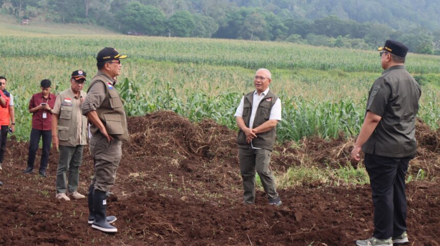Sekretaris Utama BNPB Rustian didampingi Wakil Bupati Tanah Datar meninjau 1,8 hektare lahan kosong diperkirakan dapat dibangun sekitar 34 hingga 70 unit huntap terpadu di Kecamatan Rambatan, Kabupaten Tanah Datar, Rabu (7/1/2026). Foto: Ist