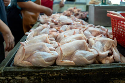 Ilustrasi, Daging ayam mentah dipajang di pasar basah di Indonesia. Foto: Istcok @Thai Liang Lim