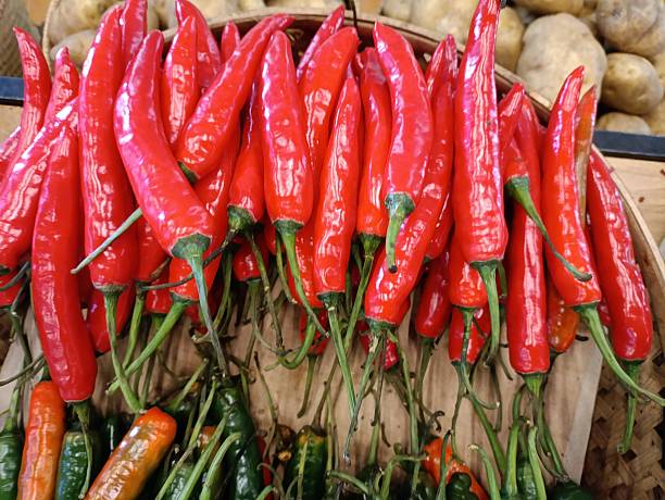 Ilustrasi cabai segar dari kebun. Foto: Istcok @christian_sutheja