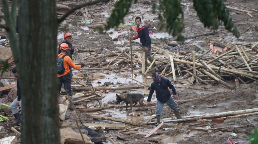 Polri mengerahkan Detasemen K9 Unit SAR Direktorat Polisi Satwa (Ditpolsatwa) Korps Sabhara Baharkam Polri guna membantu pencarian korban bencana longsor di Desa Pasirlangu, Kecamatan Cisarua, Kabupaten Bandung Barat, Jawa Barat, Senin (26/1/2026). Foto: Ist