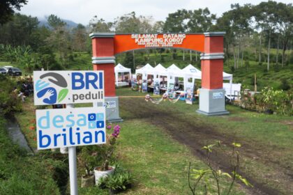 Sejak diluncurkan pada tahun 2020, pengembangan Desa BRILiaN difokuskan pada optimalisasi potensi desa berbasis Tujuan Pembangunan Berkelanjutan (SDGs). Foto: Dok BRI