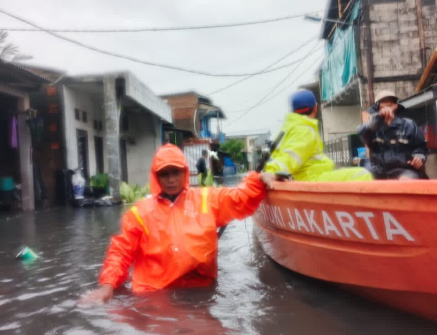 WhatsApp Image 2026 01 18 at 21.48.50