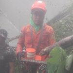 Penemuan Black Box Pesawat ATR 42-500. Foto: Basarnas