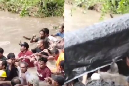 Warga Desa Salube, Kecamatan Loloda Kepulauan, Halmahera Utara, Maluku Utara, bergotong royong menyeberangkan keranda jenazah melewati sungai berarus deras akibat jembatan menuju area pemakaman ambruk diterjang banjir, Senin (12/1/2026). Foto: TikTok @pardidu.tabalai