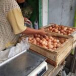 Ilustrasi, penjual memilih telur di pasar tradisonal Indonesia. Foto: Istock @Nea Hartono