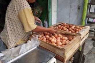 Ilustrasi, penjual memilih telur di pasar tradisonal Indonesia. Foto: Istock @Nea Hartono