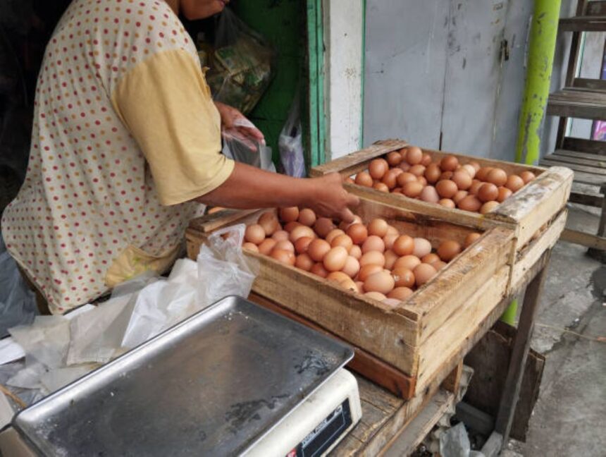 Ilustrasi, penjual memilih telur di pasar tradisonal Indonesia. Foto: Istock @Nea Hartono