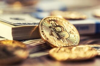 Ilustrasi. Foto: Shutterstock