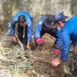 Seekor monyet liar yang meresahkan warga di kawasan permukiman Jalan Kampung Maruga, RT 004/RW 004, Kelurahan Serua, Kecamatan Ciputat, akhirnya berhasil dievakuasi petugas Pemadam Kebakaran dan Penyelamatan (Damkar) Kota Tangerang Selatan, Selasa (27/1).