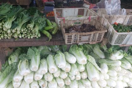 Deretan sayuran segar di pasar tradisional. Foto: Ipol.id/Vinolla Romadhona