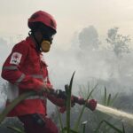 Petugas berupaya memadamkan api membakar hutan dan lahan di Kalimantan Barat, Rabu (11/2/2026) siang. Foto: Ist