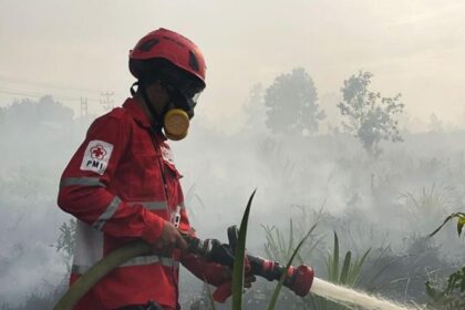 Petugas berupaya memadamkan api membakar hutan dan lahan di Kalimantan Barat, Rabu (11/2/2026) siang. Foto: Ist