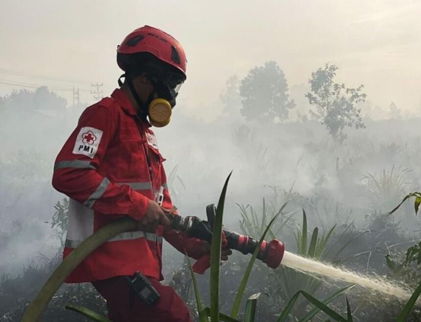Petugas berupaya memadamkan api membakar hutan dan lahan di Kalimantan Barat, Rabu (11/2/2026) siang. Foto: Ist