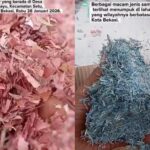 Temuan ribuan cacahan uang rupiah di TPS liar Kabupaten Bekasi. Foto: Tangkapan layar Instagram @sahabatpedulilingkungan