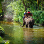 Ilustrasi, Wisatawan menunggang gajah. Foto: Istcok @Pixfly
