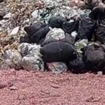 Cacahan uang rupiah ditemukan di TPS liar Bekasi. Polisi amankan 21 karung dan telusuri dugaan pembuangan uang negara secara ilegal. Foto: Tangkap layar IG @sahabatpedulilingkungan