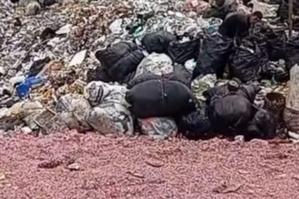 Cacahan uang rupiah ditemukan di TPS liar Bekasi. Polisi amankan 21 karung dan telusuri dugaan pembuangan uang negara secara ilegal. Foto: Tangkap layar IG @sahabatpedulilingkungan