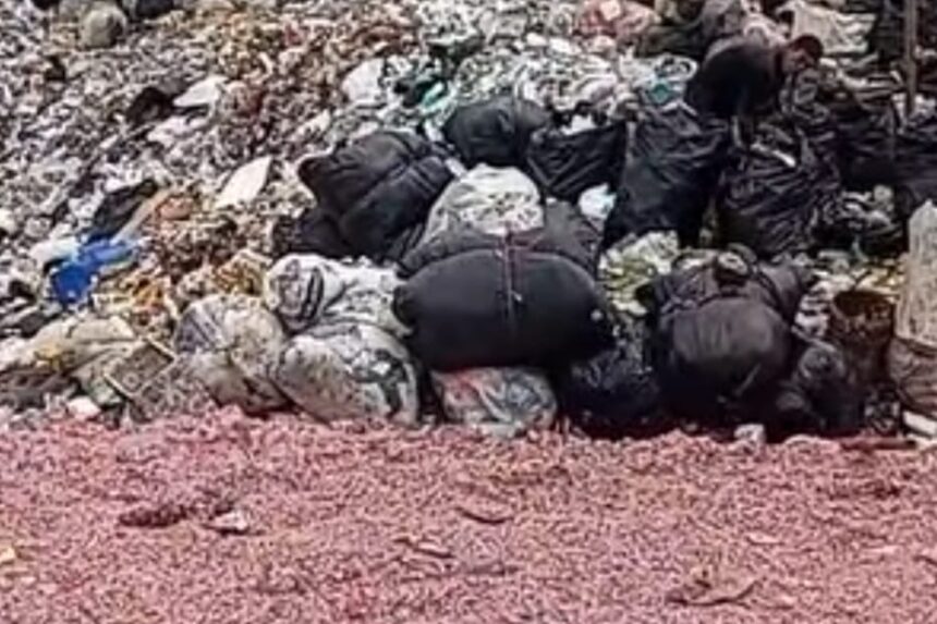 Cacahan uang rupiah ditemukan di TPS liar Bekasi. Polisi amankan 21 karung dan telusuri dugaan pembuangan uang negara secara ilegal. Foto: Tangkap layar IG @sahabatpedulilingkungan