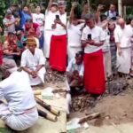 Pandji Pragiwaksono menjalani sidang adat Toraja buntut candaannya soal budaya setempat. Ia dijatuhi sanksi adat berupa denda satu ekor babi dan lima ekor ayam, serta mengikuti ritual permohonan maaf kepada leluhur. Foto: IG @medsoszone