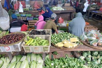Daftar Harga Pangan Nasional Hari Ini Cabai Rawit Tertinggi
