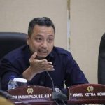 Ketua Komisi B DPRD DKI Jakarta, Nova Harivan Paloh.(foto dok Nasdem)