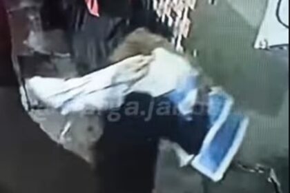 Viral pria gendong biawak di Tambora. Foto: Tangkapan layar Instagram @warga.jakbar