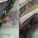 Tembok SMPN 182 Kalibata di Pancoran, Jakarta Selatan roboh pada Minggu siang. Foto: IG @infodepok_id