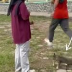 Seekor kucing ditendang seorang pria di kawasan Stadion Kridosono, Kabupaten Blora, Jawa Tengah. Foto: Instagram @faridaarz