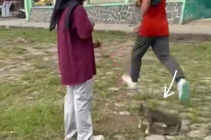 Seekor kucing ditendang seorang pria di kawasan Stadion Kridosono, Kabupaten Blora, Jawa Tengah. Foto: Instagram @faridaarz