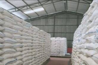 Beras bulog. Foto: dok. Bulog