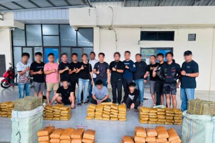 Petugas Badan Narkotika Nasional Republik Indonesia (BNN RI) dan BNN Provinsi Sumatera Utara, saat meringkus tersangka jaringan Aceh-Medan di Jalan Lintas Dusun 1 Halaban Block Desa Bukit Selamat Kec. Besitang Kab. Langkat, Sumut, pada Selasa (3/2/2026) sekitar pukul 12.00 WIB. Sejumlah barang bukti ganja disita. Foto: Ist