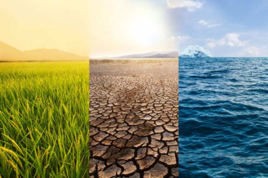 Ilustrasi, Suhu dunia dan Perubahan iklim. Foto: Istock @piyaset