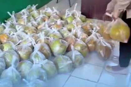 Geger video siswa SD menerima kelapa muda sebagai menu pengganti MBG. Foto: IG @respons.media