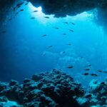 laut dalam indonesia