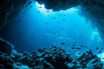 laut dalam indonesia