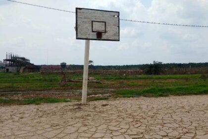 IMG 20260304 WA01911