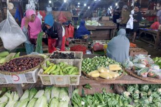Pemerintah pastikan stok pangan nasional aman dan harga tetap terkendali. Foto: Ipol.id/Vinolla Romadhona