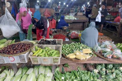Pemerintah pastikan stok pangan nasional aman dan harga tetap terkendali. Foto: Ipol.id/Vinolla Romadhona