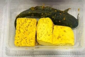 Menu Program Makan Bergizi Gratis (MBG) berupa lele, tahu, dan tempe yang didistribusikan kepada siswa di salah satu sekolah di Pamekasan, Jawa Timur. Badan Gizi Nasional (BGN) menyatakan paket makanan yang disiapkan sebenarnya terdiri dari beberapa menu bergizi, namun video yang beredar di media sosial hanya menampilkan sebagian isi paket. Foto: TikTok @rian_971