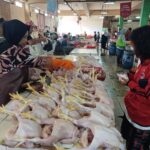 Seorang pedagang ayam segar sedang melayani pembeli di sebuah pasar di Jakarta. Foto: Dok/ipol.id