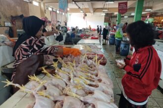 Seorang pedagang ayam segar sedang melayani pembeli di sebuah pasar di Jakarta. Foto: Dok/ipol.id