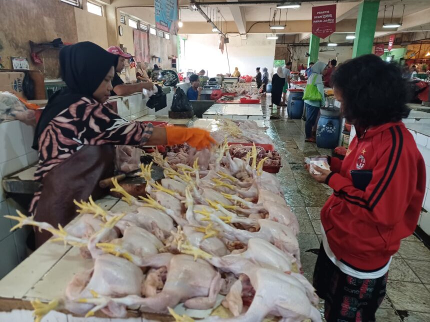 Seorang pedagang ayam segar sedang melayani pembeli di sebuah pasar di Jakarta. Foto: Dok/ipol.id