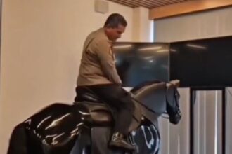 Simulator Kuda Polri